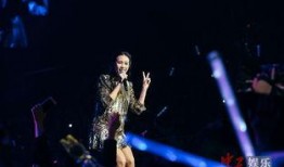 华晨宇莫文蔚最新爆料,揭秘音乐背后的故事与情感