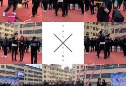 蓝海新学校最新爆料,揭秘未来教育新模式