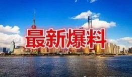 上海爆料最新,揭秘城市热点事件背后的真相
