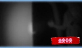 最新跟踪爆料视频大全集,揭秘热点事件背后的真相与内幕