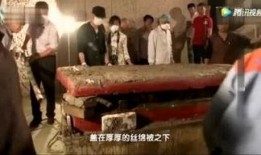 杀鸡最新爆料,揭秘幕后真相，带你走进神秘事件核心