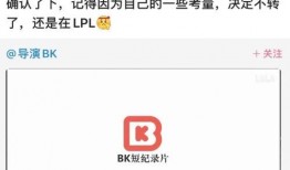 手游lpl最新爆料,神秘英雄登场，战局风云再起！