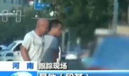 最新跟踪爆料视频大全集,揭秘热点事件背后的真相与内幕